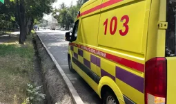 Қостанай облысында жол апатынан 6 адам қаза тауып, 5 адам ауруханаға жеткізілді