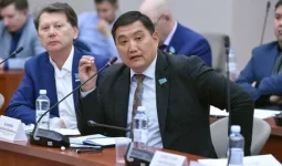 Емделмеген адамдарды емделген етіп көрсетіп, миллиардтаған қаржы алған ұйымдардың қаржысы кері қайтарылады - депутат
