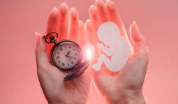 Аналық жасушаны мұздату – әйелдер үшін тренд пе, әлде қажеттілік пе?