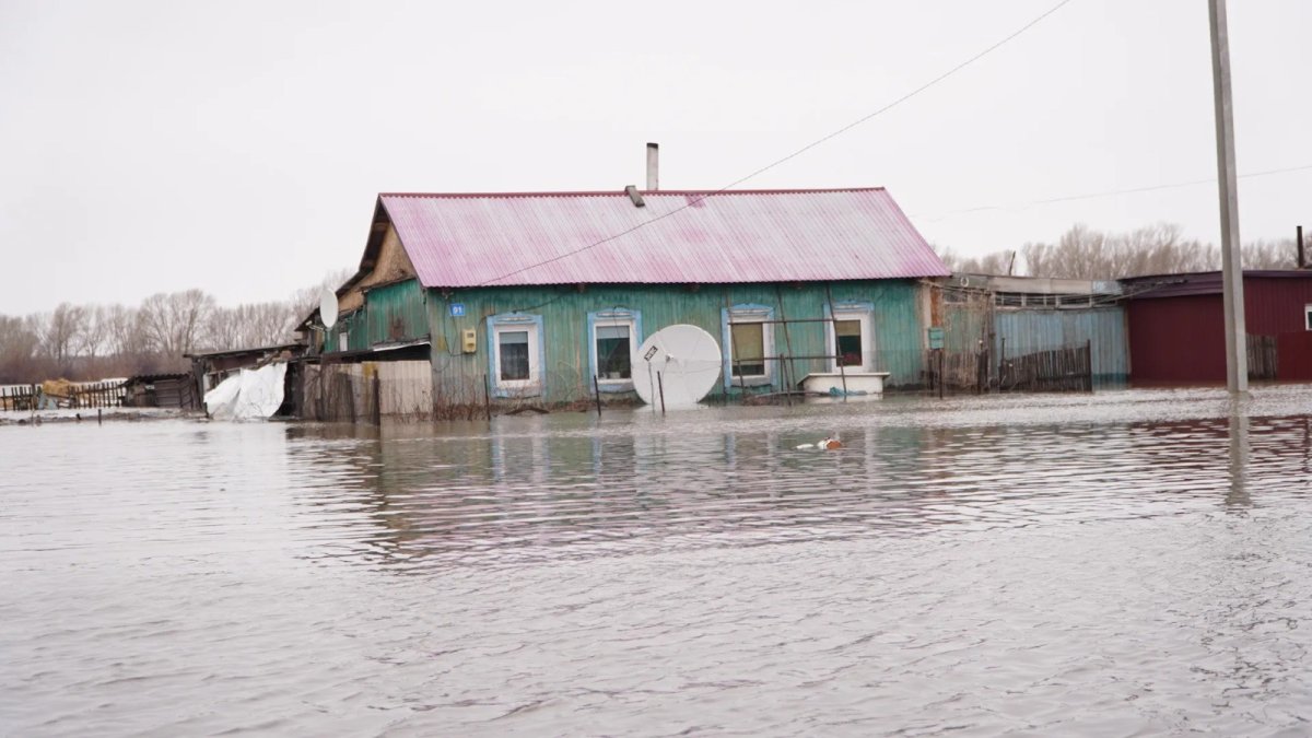 Ақмола облысында су тасқынының алдын алмаған ауыл әкімі сотталды